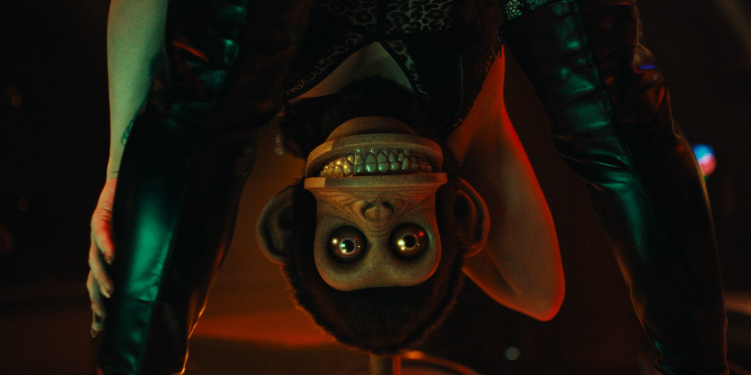 04_THE MONKEY_JPG